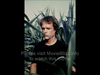 Wild Combination A Portrait of Arthur Russell (2008) Part 1/