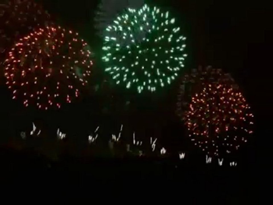 feu d artifice carcassonne  2010