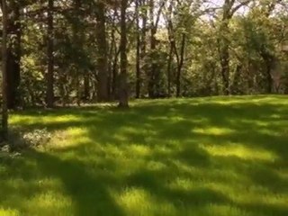 Homes for Sale - 51 Yorkshire Woods - Oak Brook, IL 60523 -