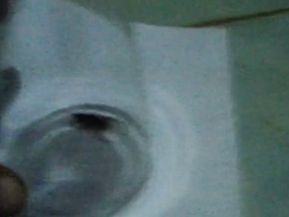 My Scorpion Friends. part1. One That Wouldnt Leave