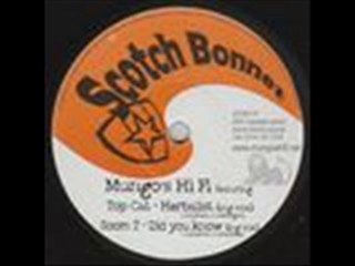 [SCOB008] Mungo's Hi-Fi & Soom T - Did You Know