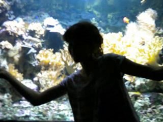 Fin de Curso axarquia 2010 6º primaria