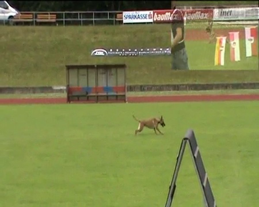 FCI-Quali-Judenburg-2010-Greta-UO