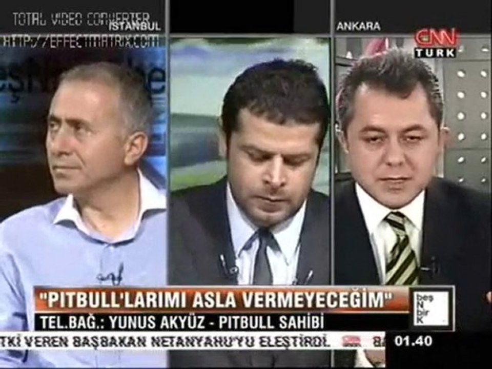 5N1K 30 Haziran 2010 pitbull-2