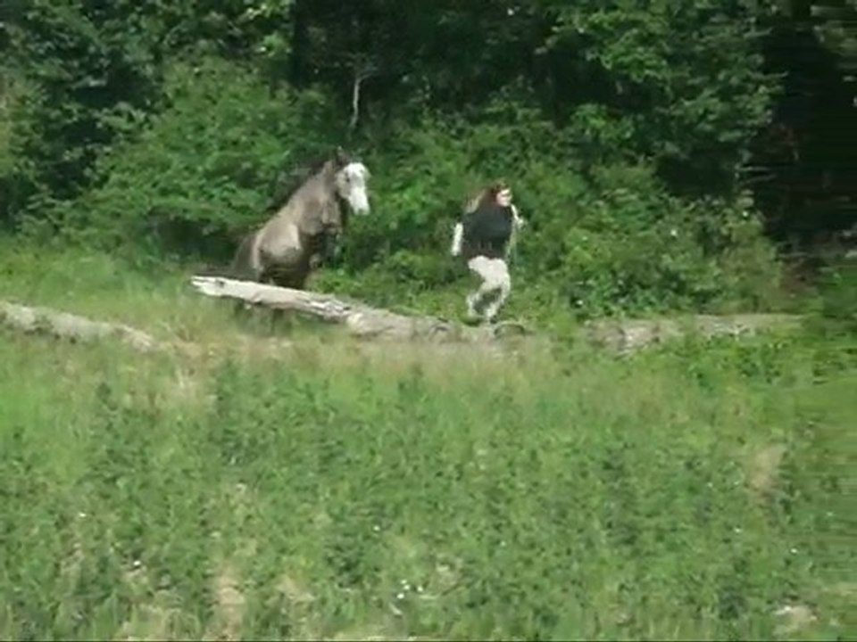 Ramses montage juin 2010