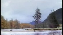 La Pesca del Salmon