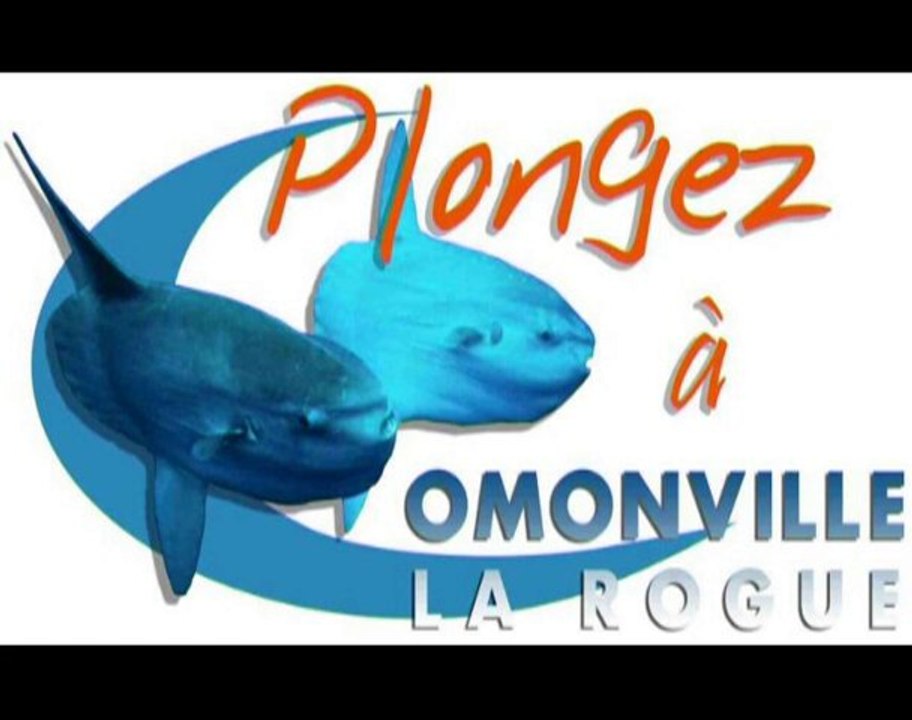 plongez à Omonville la Rogue