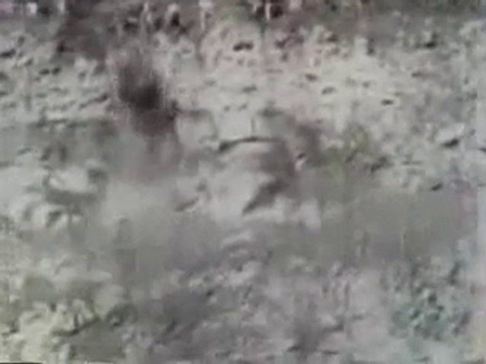 okada mokiti  The saviour Messiah