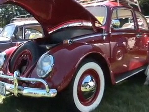Classic Beetle Bugs Build A BuG VW Restorations Vallone