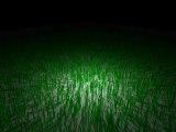 [VVG 0.0.2] Grass proto + materials & modifiers