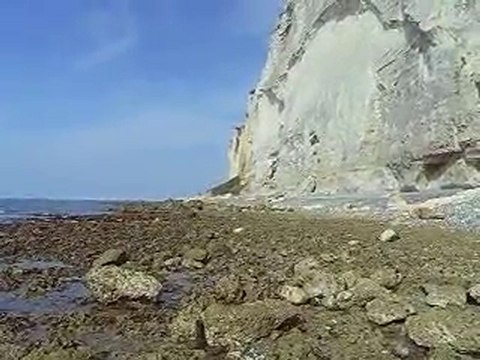 l'eau les mouettes et les falaises normandes