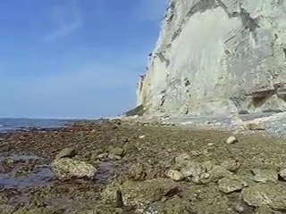 l'eau les mouettes et les falaises normandes