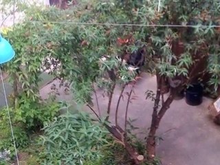 Le Comptoir Général en images