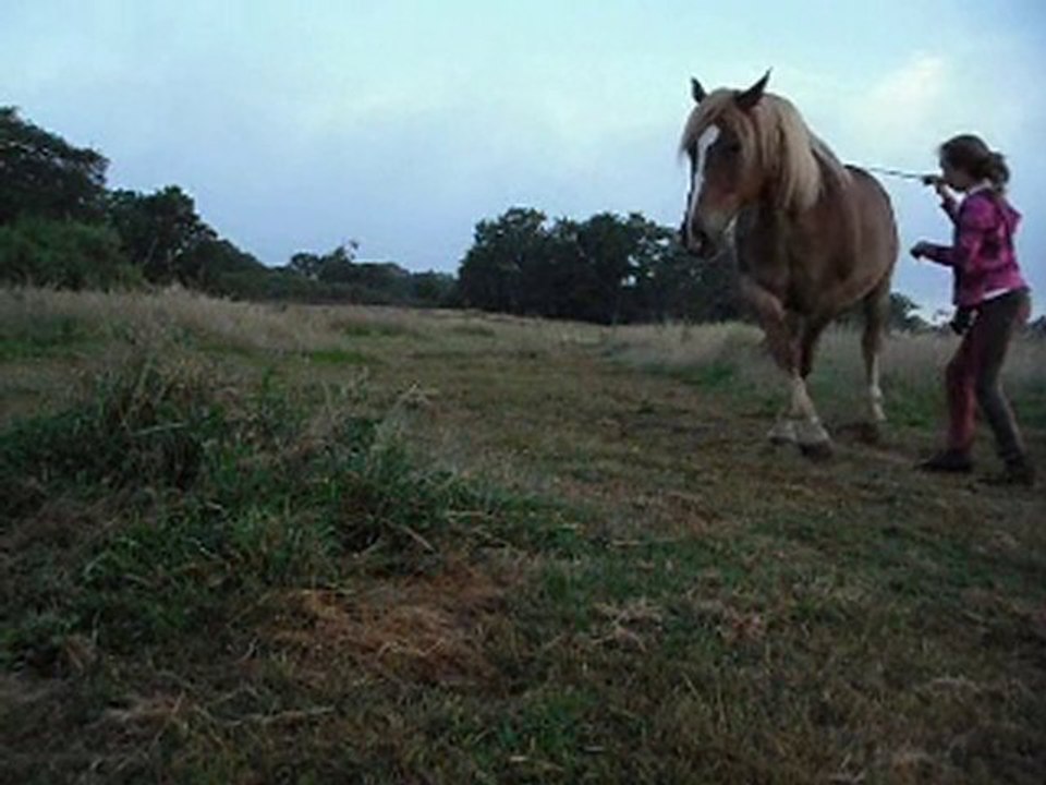 Gulli 20/07/10
