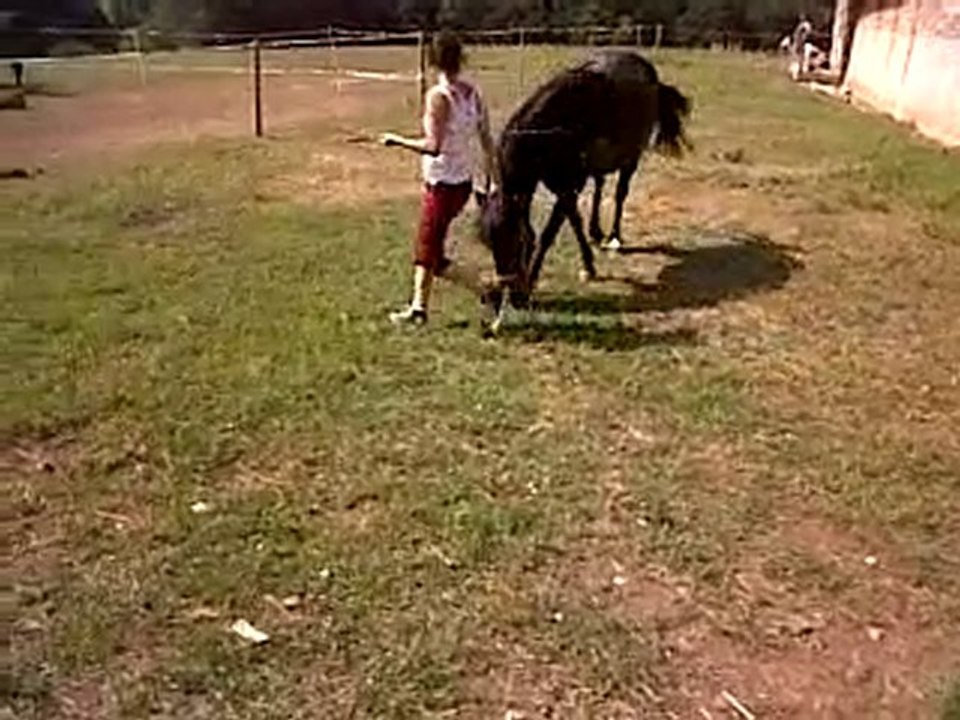 VID 00023-20100702-1055