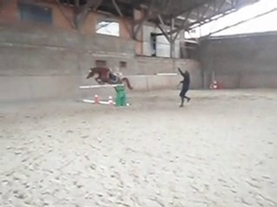 Saut à la longe