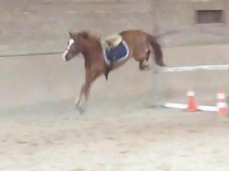Saut à la longe 2