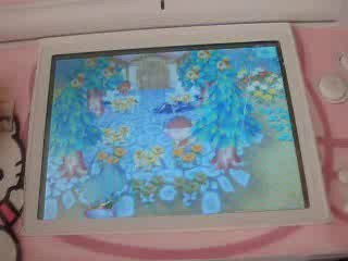 Ma maison + ma ville Animal Crossing