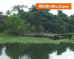 Boat travelling in Kumarakom
