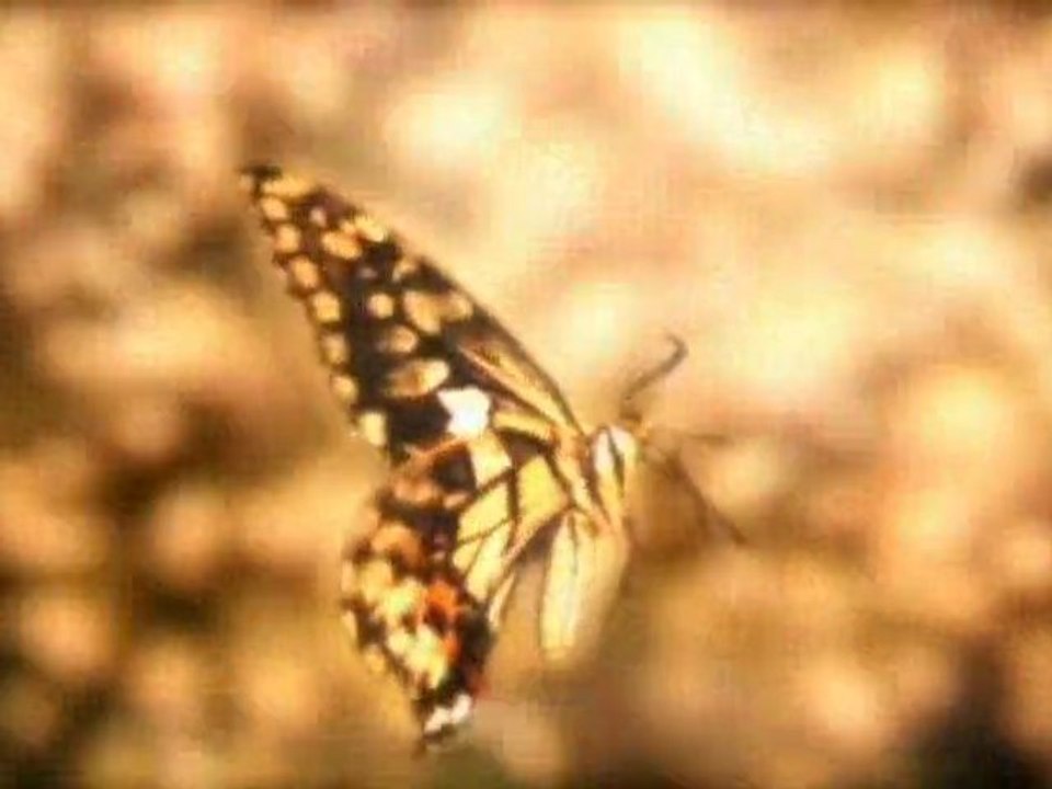 Massive Attack Psyche 2010