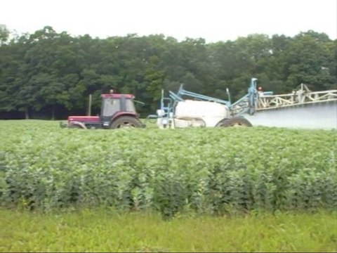 Pulvérisation avec tracteur Case 956 XL et pulvé Evrard.