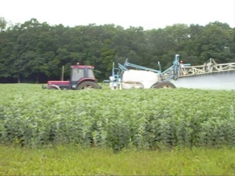 Pulvérisation avec tracteur Case 956 XL et pulvé Evrard.