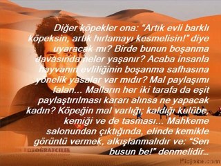 MADE İN GÖKSEL ERKILIÇ