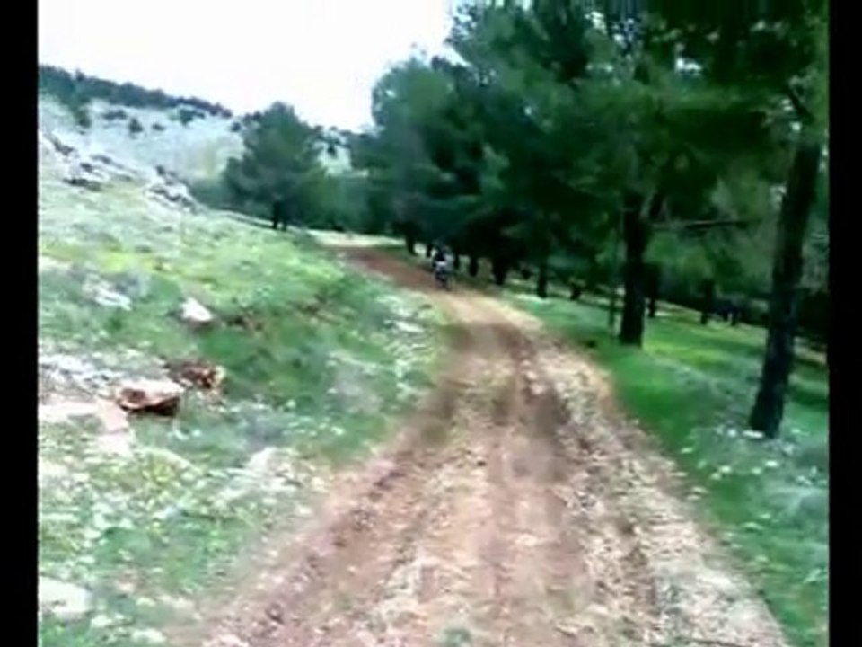 bikes
