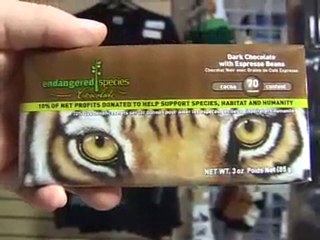 Big Cat Rescue- Think Green, Live Green Challenge!