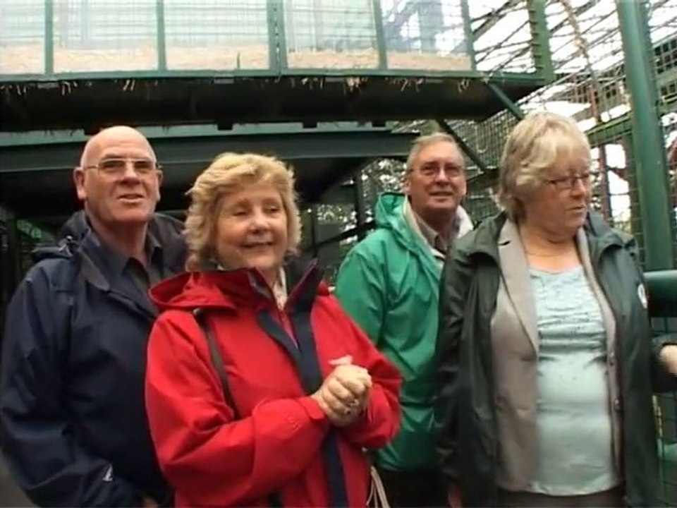 "Prime" by Mikey Rosato