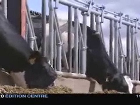 Alimentation animale toute OGM 08/06/07 Empoisonnement légal