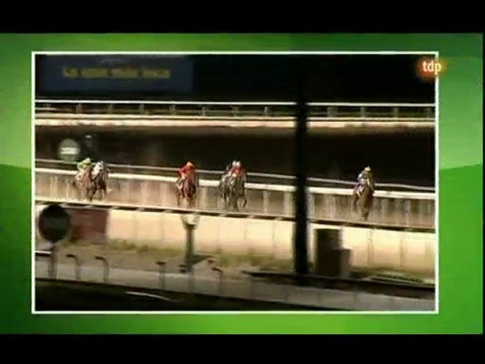 2010.07.01, n° 235 LZa (Cria Nacional (2a nac) Tout a Coeur