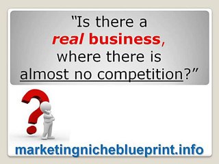 Marketing Niche Blueprint