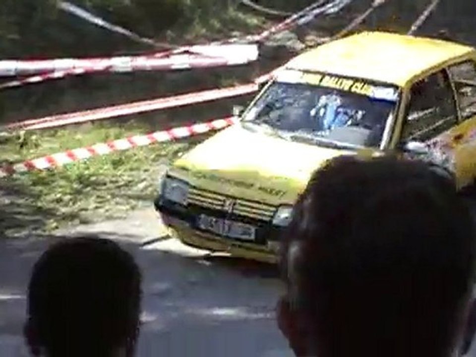rallye du viganais 2010