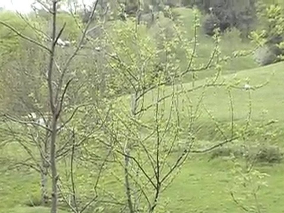 rallye du valdagou 2010