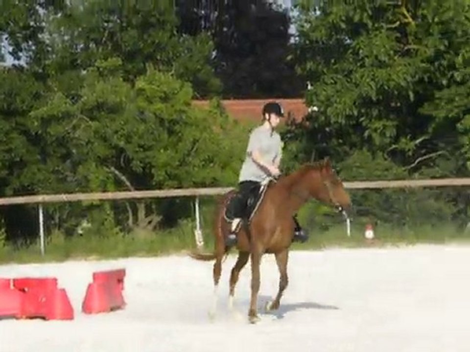 02/07/2010 Détente au trot