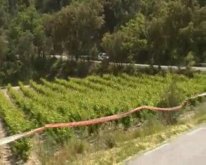 fred cappuccio thibault delahaye rallye 206 super 1600