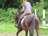 Moi et mon nouveau cheval