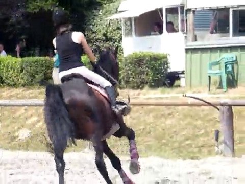 Ecureuil 27 Juin 80-90cm