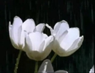 Murat Belet Allah Azze ve Celle