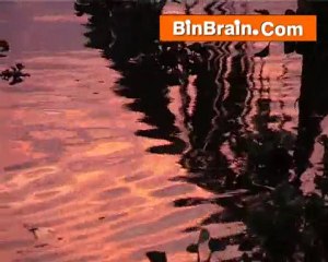 Boat travelling in Kumarakom
