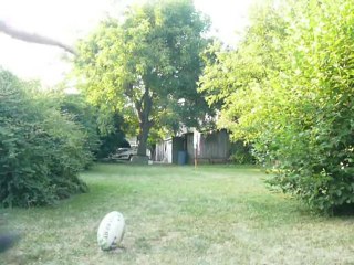 rugby au travail dans le jardin bon c fini range ton ballon!
