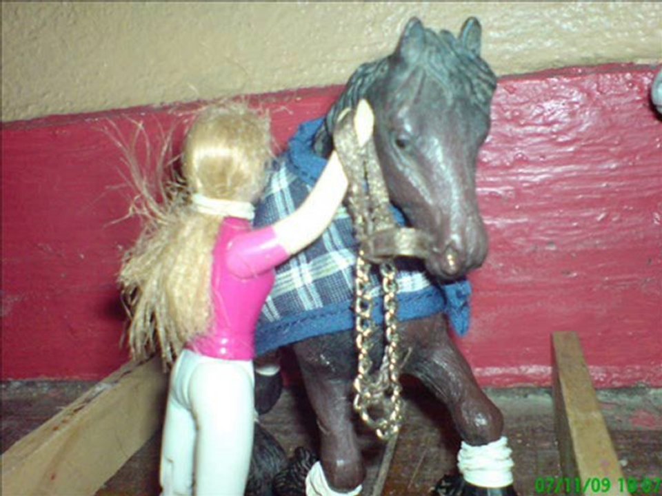 mes chevaux en action