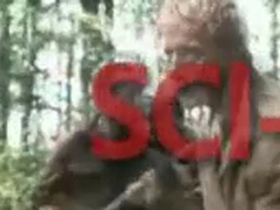 Download Full Movies & Watch Movies Online