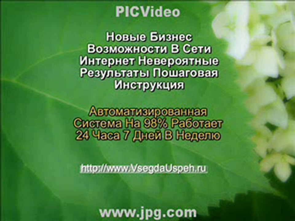 млм ролик