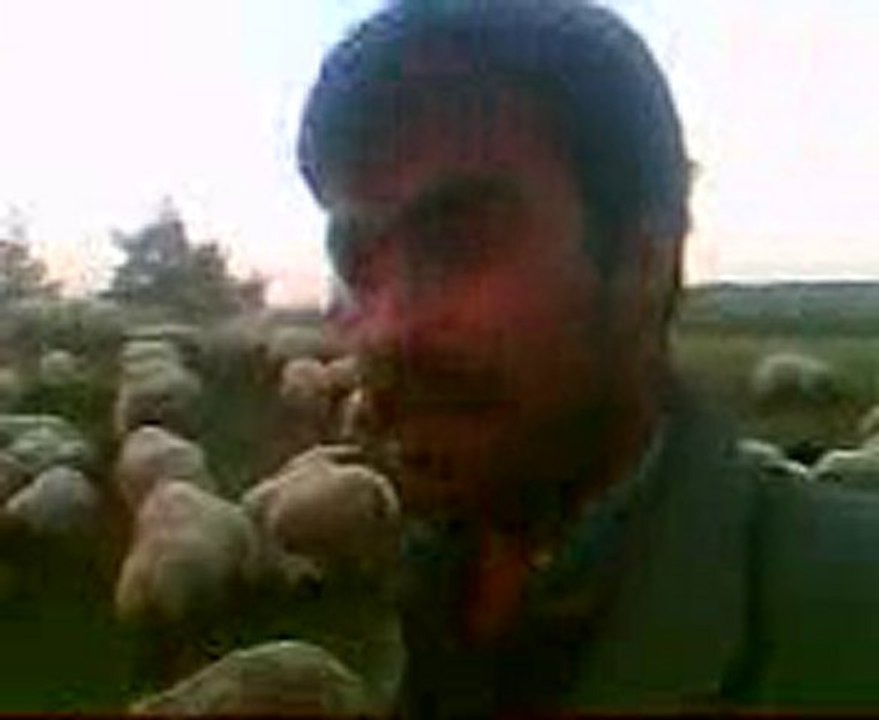 EVLERİNİN ÖNÜ YONCA