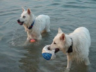 5H DU MATIN LA PLAGE POUR NOUS 3.07.2010