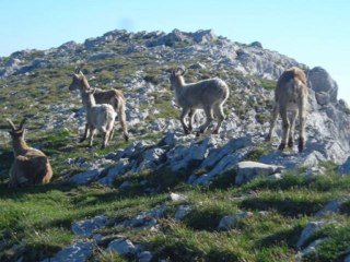 polytech' mont blanc montage photos