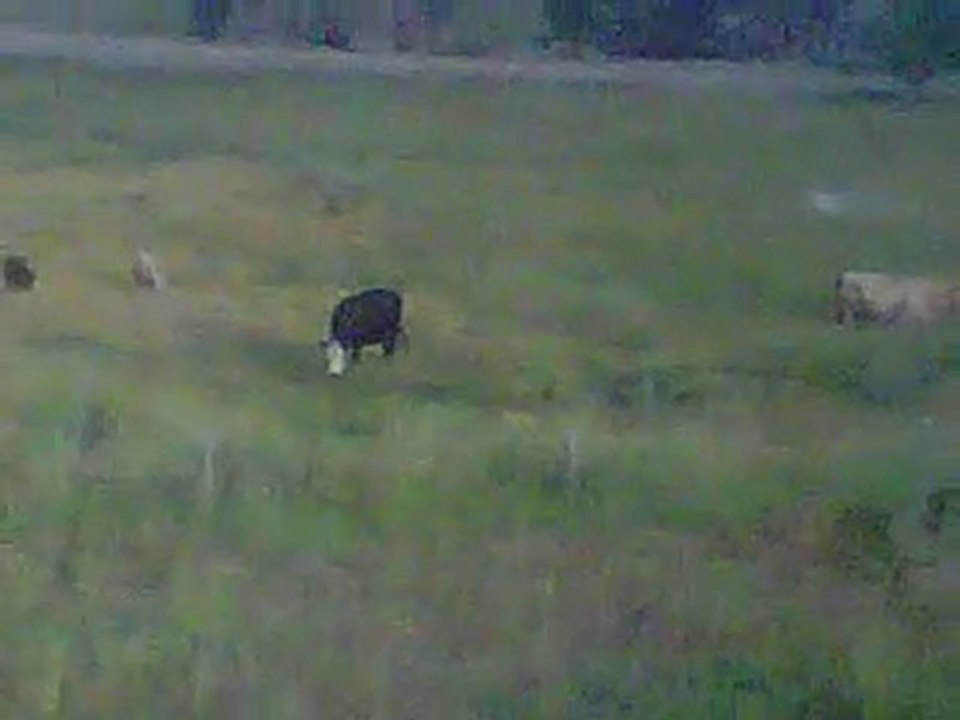 BPS- 208-523-0006 Sells office phone systems