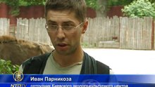 Украина может потерять зубров